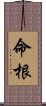 命根 Scroll