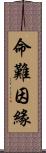 命難因緣 Scroll