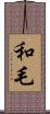 和毛 Scroll