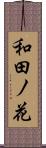 和田ノ花 Scroll