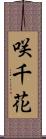 咲千花 Scroll