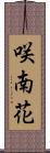 咲南花 Scroll