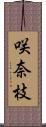 咲奈枝 Scroll