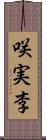 咲実李 Scroll