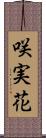咲実花 Scroll