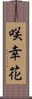 咲幸花 Scroll