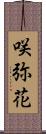 咲弥花 Scroll