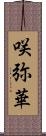 咲弥華 Scroll