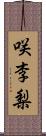 咲李梨 Scroll