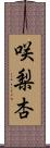 咲梨杏 Scroll