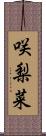 咲梨菜 Scroll