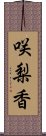 咲梨香 Scroll