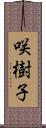 咲樹子 Scroll