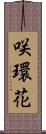 咲環花 Scroll