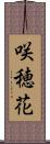 咲穂花 Scroll
