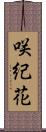 咲紀花 Scroll