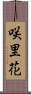 咲里花 Scroll