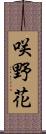 咲野花 Scroll