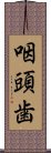 咽頭歯 Scroll