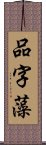 品字藻 Scroll