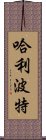 哈利·波特 Scroll