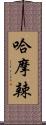 哈摩辣 Scroll