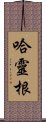 哈靈根 Scroll