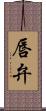 唇弁 Scroll