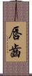 唇齒 Scroll