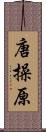 唐操原 Scroll