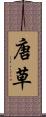 唐草 Scroll