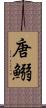 唐鰯 Scroll