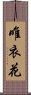 唯衣花 Scroll