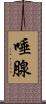 唾腺 Scroll
