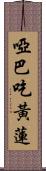 啞巴吃黃蓮 Scroll