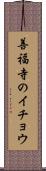 善福寺のイチョウ Scroll