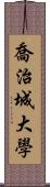 喬治城大學 Scroll