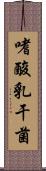 嗜酸乳干菌 Scroll