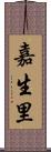 嘉生里 Scroll