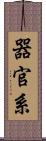 器官系 Scroll