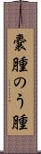嚢腫 Scroll