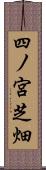 四ノ宮芝畑 Scroll