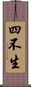 四不生 Scroll