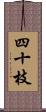 四十枝 Scroll