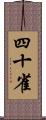 四十雀 Scroll