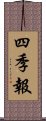 四季報 Scroll