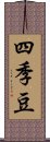 四季豆 Scroll