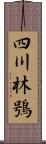 四川林鴞 Scroll