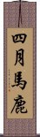 四月馬鹿 Scroll