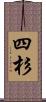 四杉 Scroll